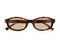 Roller Coaster / Tortoise & Brown Lens